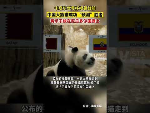 青岛男篮客,场击败吉林,连胜势头延,好博体育,好博体育app,好博体育官网,好博体育下载,好博体育入口